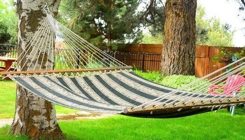 Hotel Left Coast - Pet Friendly